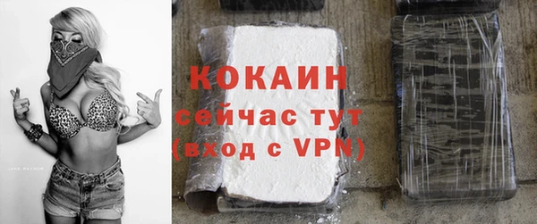 твердый Верея
