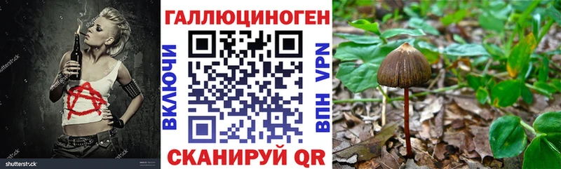 Псилоцибиновые грибы Psilocybine cubensis  Можайск 